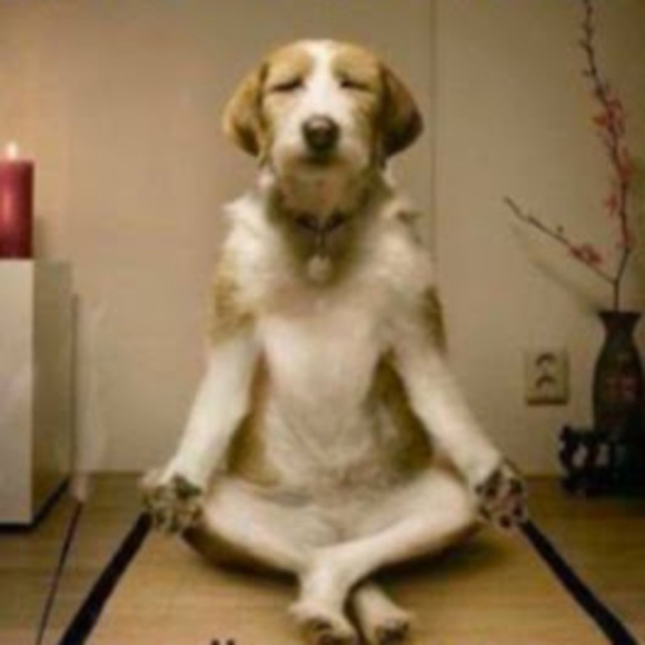 Meet your Posher, Ілля - Picture 1 of 1